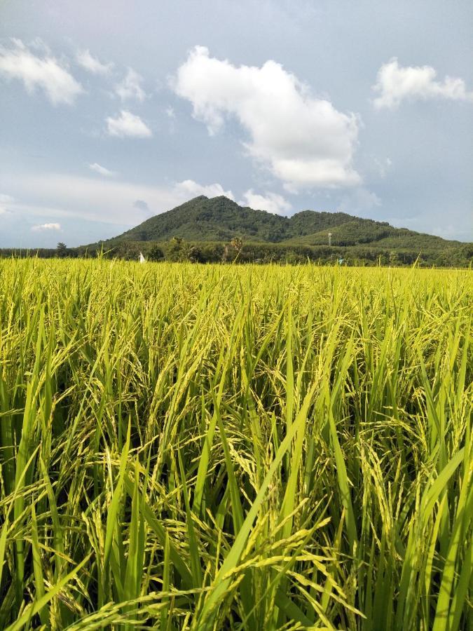 Baan Gebsup บ้านเก็บทรัพย์ 阁遥岛 外观 照片